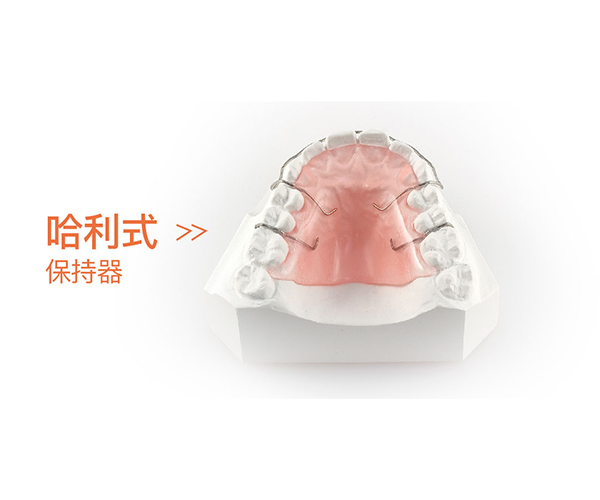 保持器-哈利式